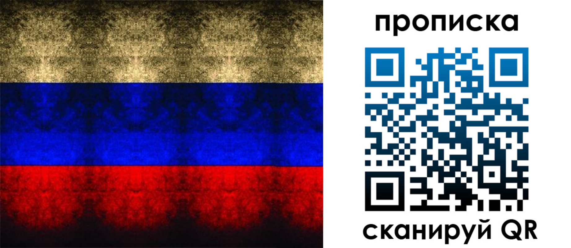 временная прописка в Сланцах